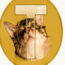 TSU