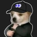 fomodog