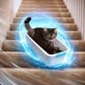 surfcat