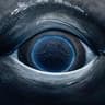 WhaleEye