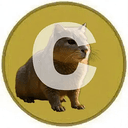 Cattybara