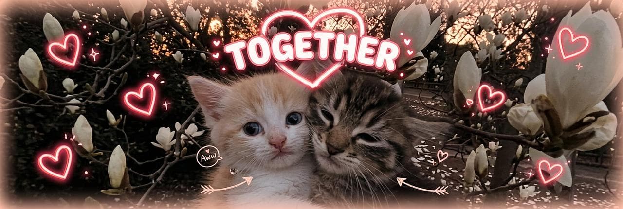 Together Banner
