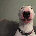 Walter