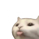 :p