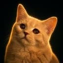 FOMOCAT