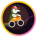RIDER