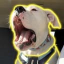 Petey