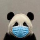 PANDAMIC