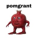POMGRANT