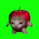 APPLECAT