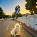 מלו