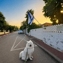 קוקו