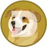 DOGE