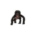 ape