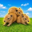 Babybaras