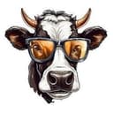 CowShit