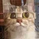 pixelcat