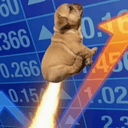 updog