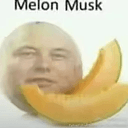 MuskMelon