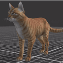 assetcat