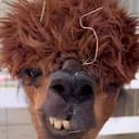 lamine