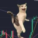 跳舞猫