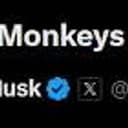 MONKEYS