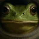 MOONFROG