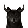 BLACKINU