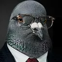 PIGEON