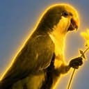 PARROT