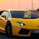 IM