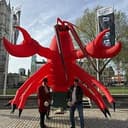 Lobster