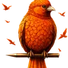 Dulus