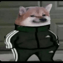 Gopnik