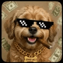 MEMEDOG
