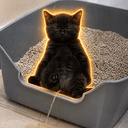 PEECAT