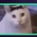 Huhcat
