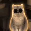 FOMOCAT