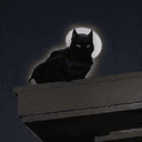 batcat
