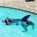 sharkoon