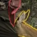DIP