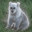 [name]