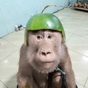 MEKEY