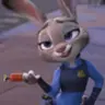 JUDY