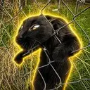 CageCat