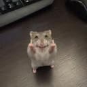 FYH