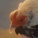 LUIS