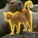 Oyen