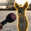 REPORTLAM